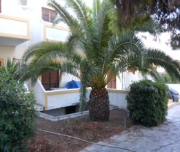 Hotel in Agia Marina